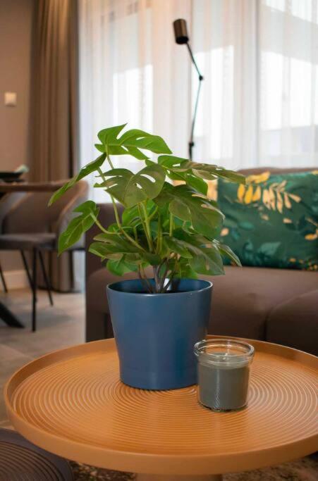 Apartment Luxury Cozy 2 Bdr Downtown Apt.2